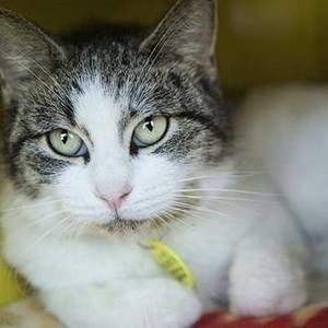 Meet your Posher, Edith